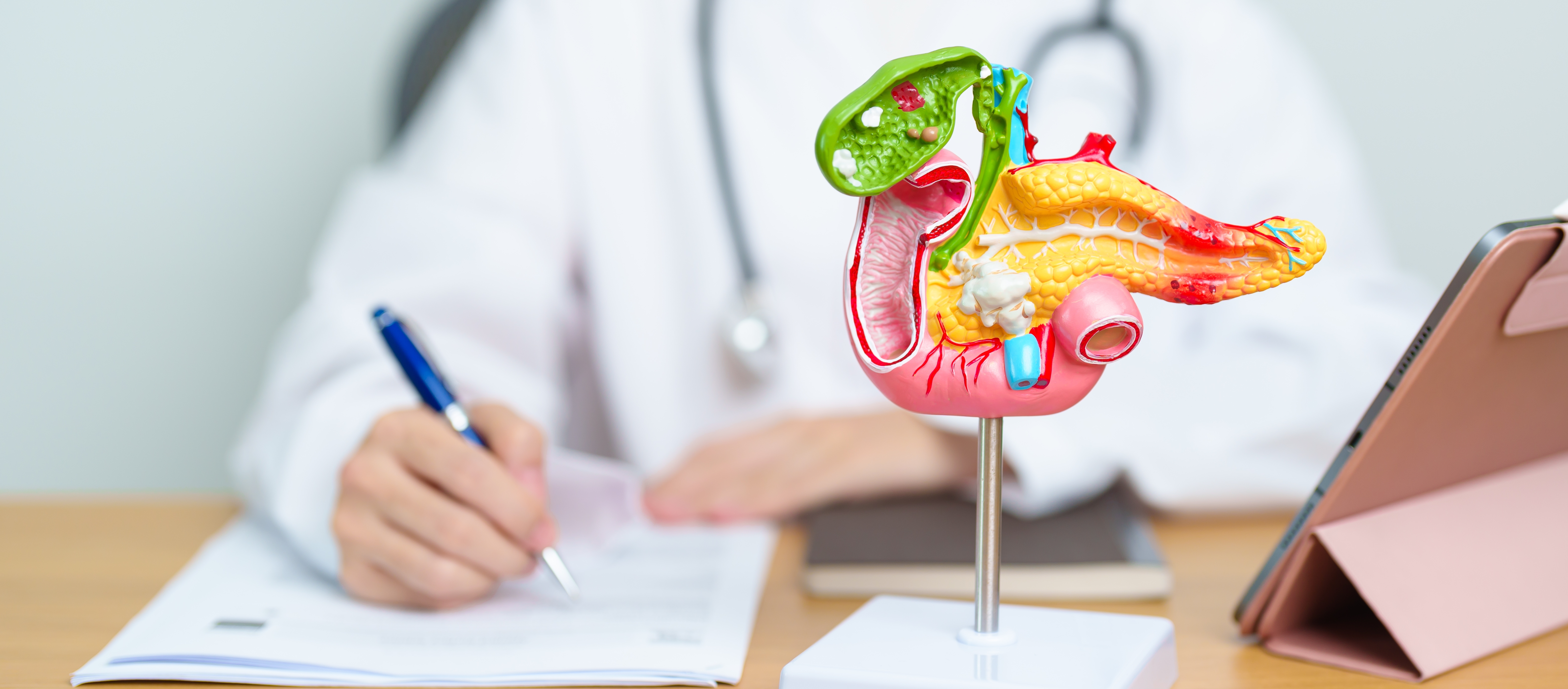 Bile Duct Leaks: Causes, Symptoms, and Treatment Options