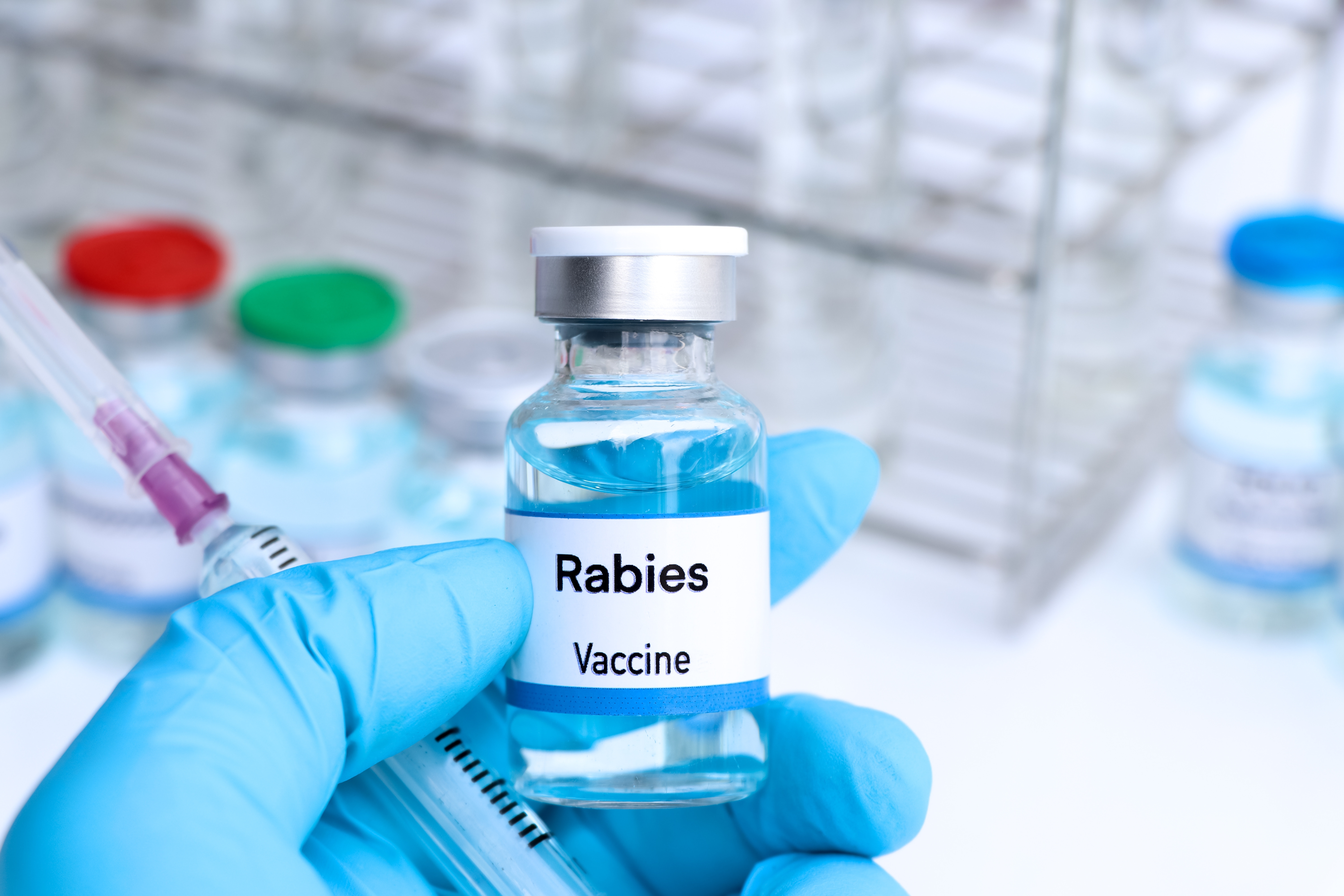 Rabies