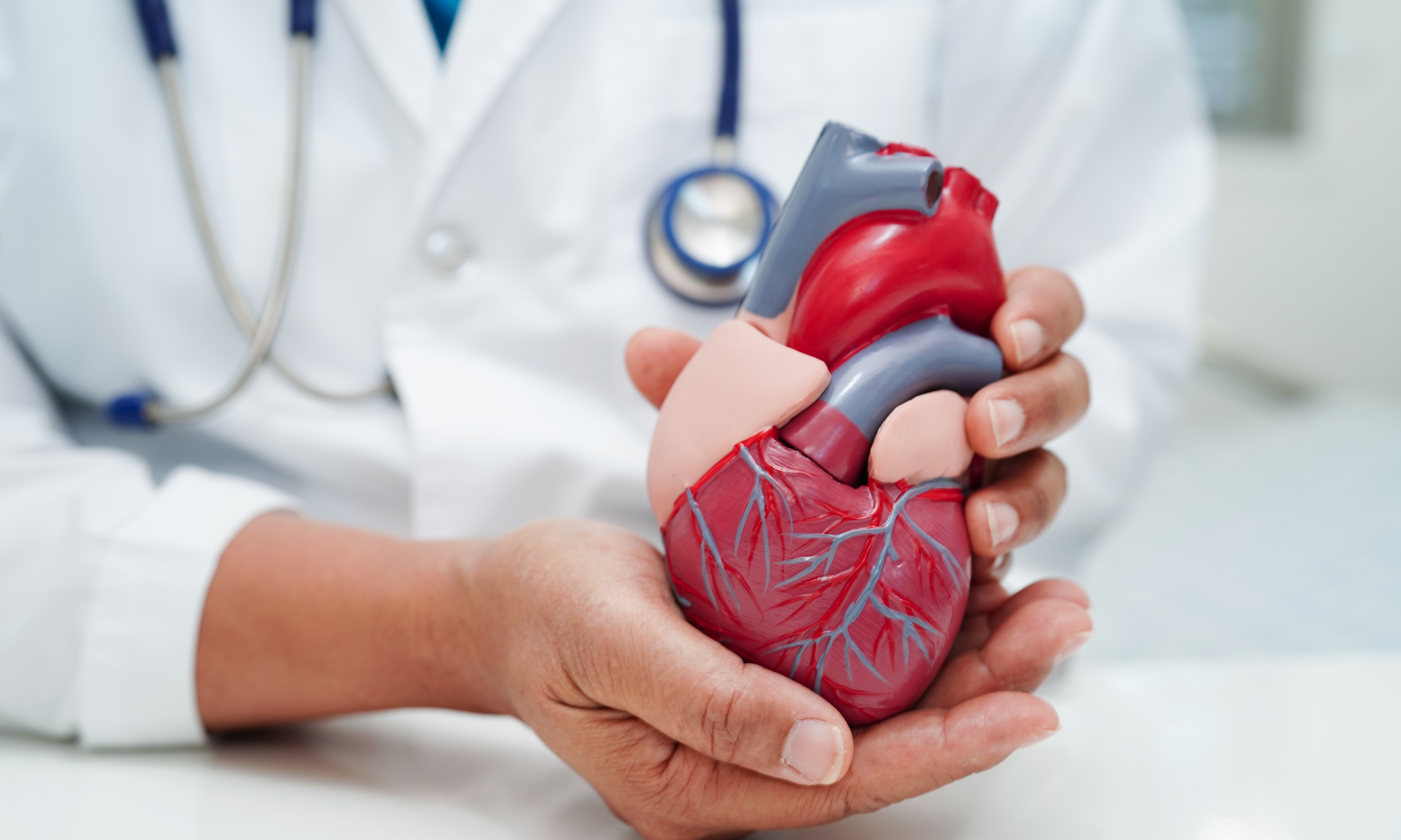 Heart Surgeries: Types, Recovery, Risks, and Management