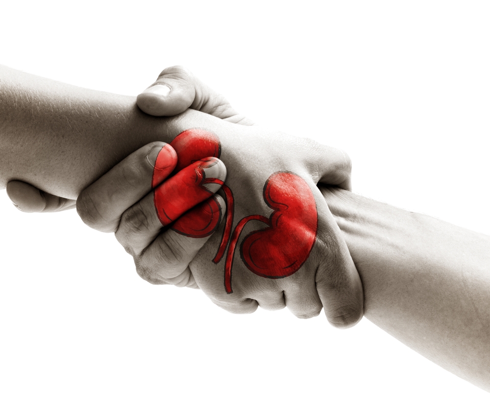 The Gift of Life: Understanding the Key Components of Kidney Transplants