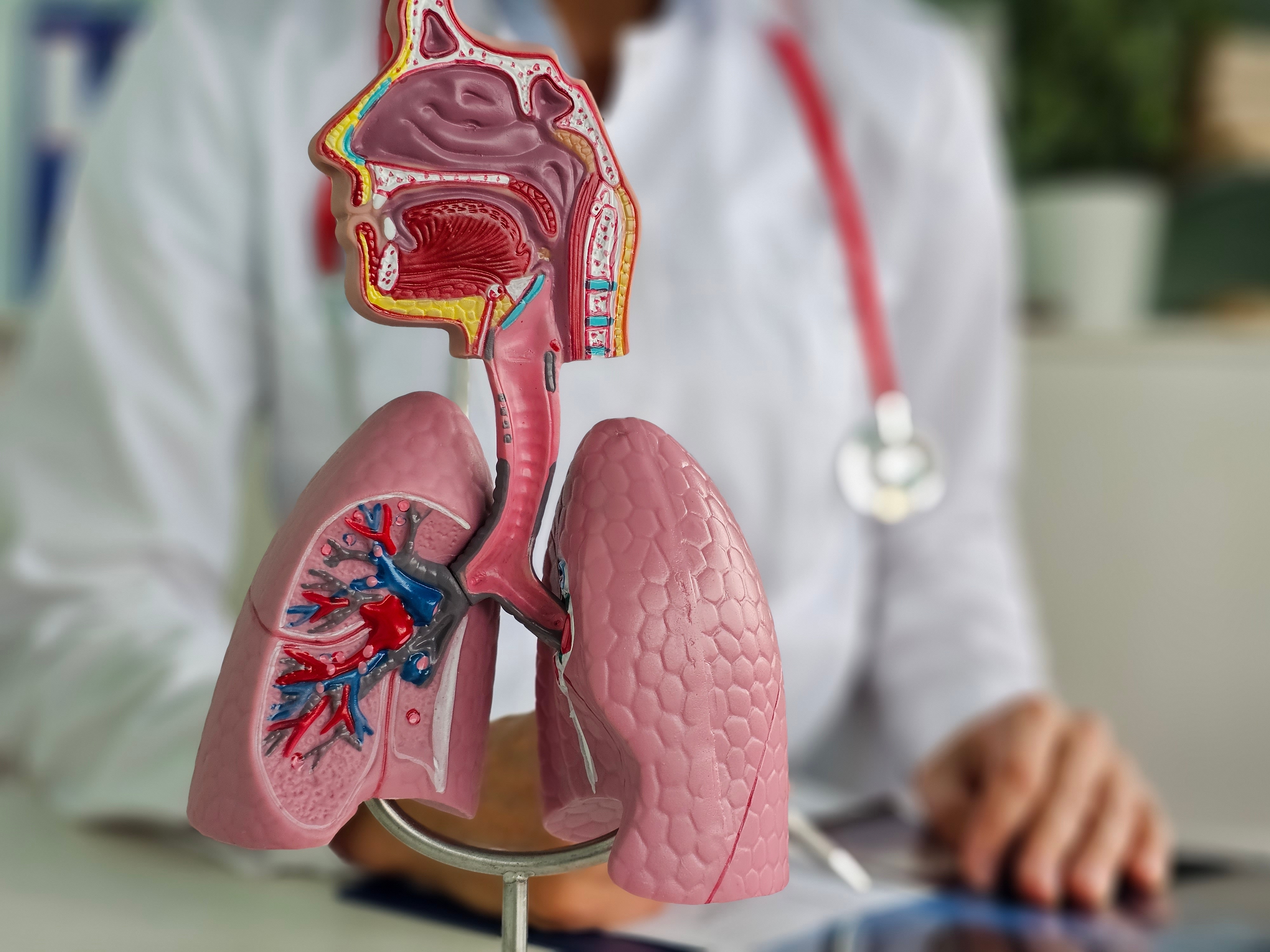 Chronic Respiratory Conditions