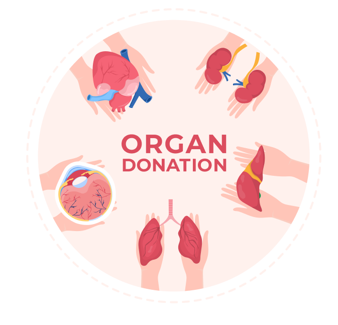 Why Organ donation