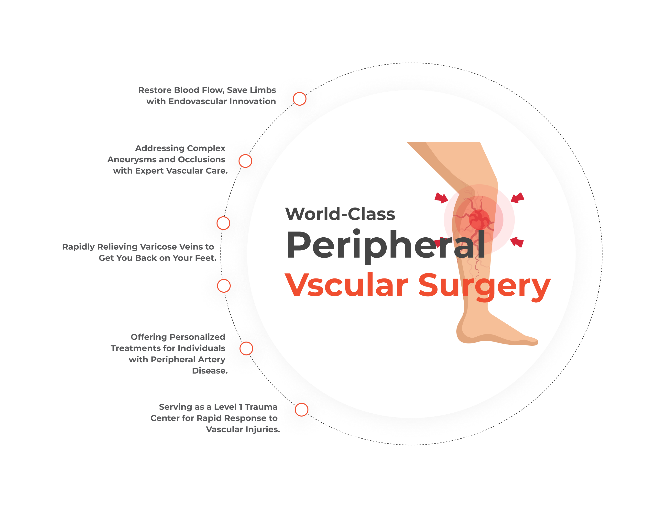 vascular-surgery