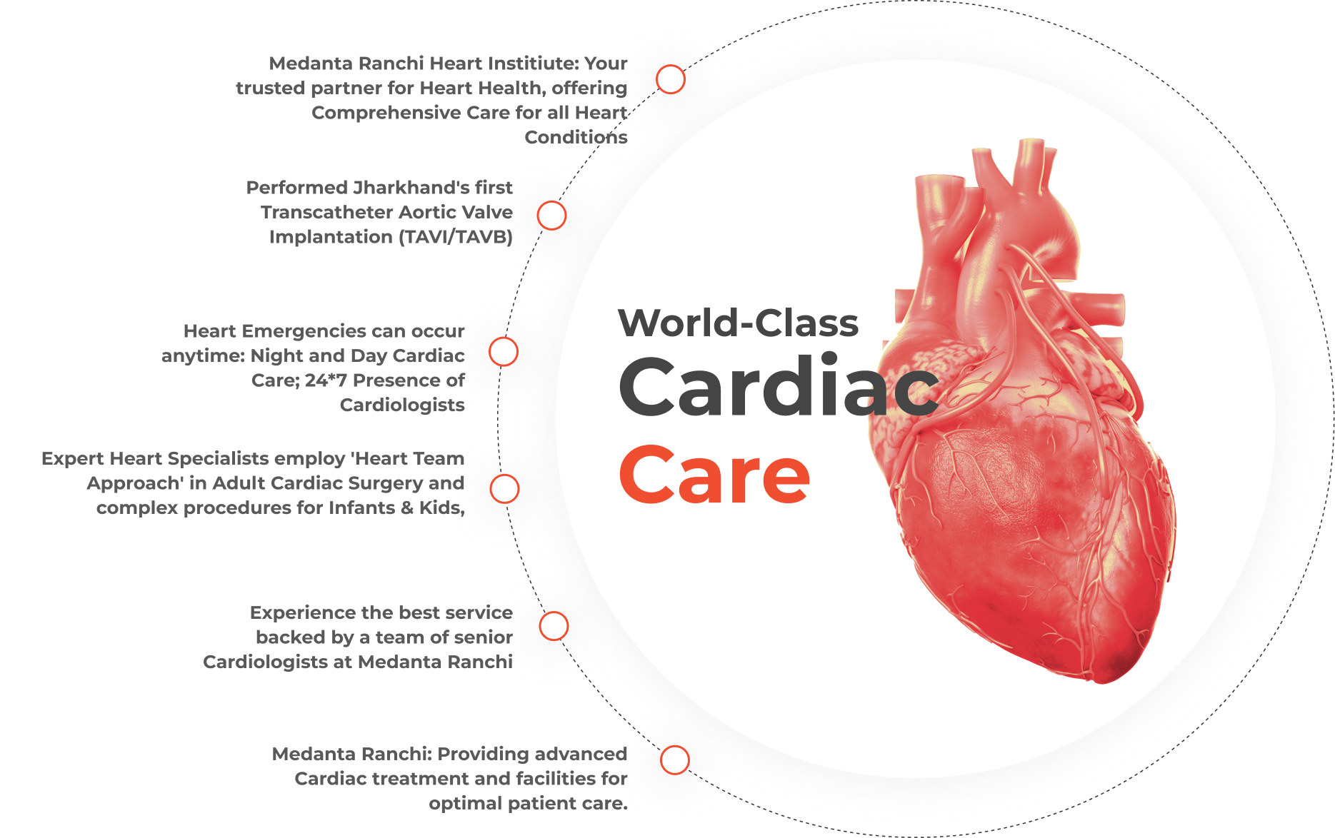 cardiology