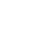 Lung Transplant