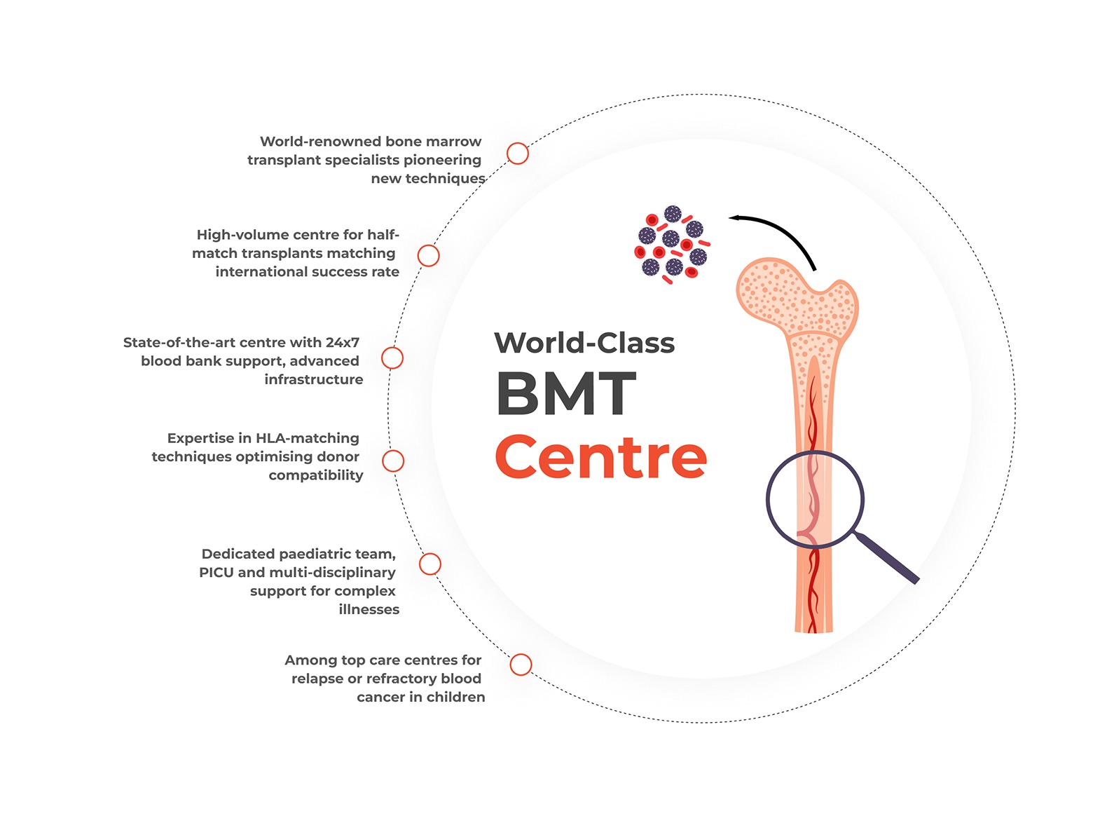 Paediatric Bone Marrow Transplant