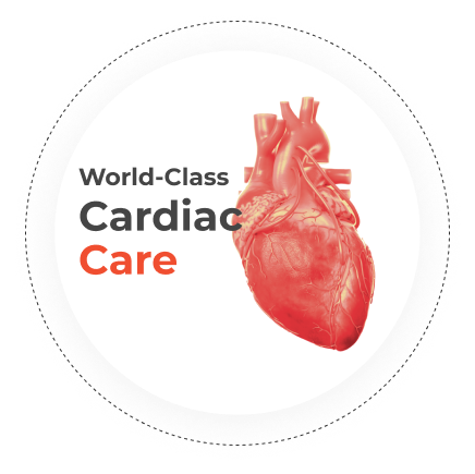 Paediatric Cardiology