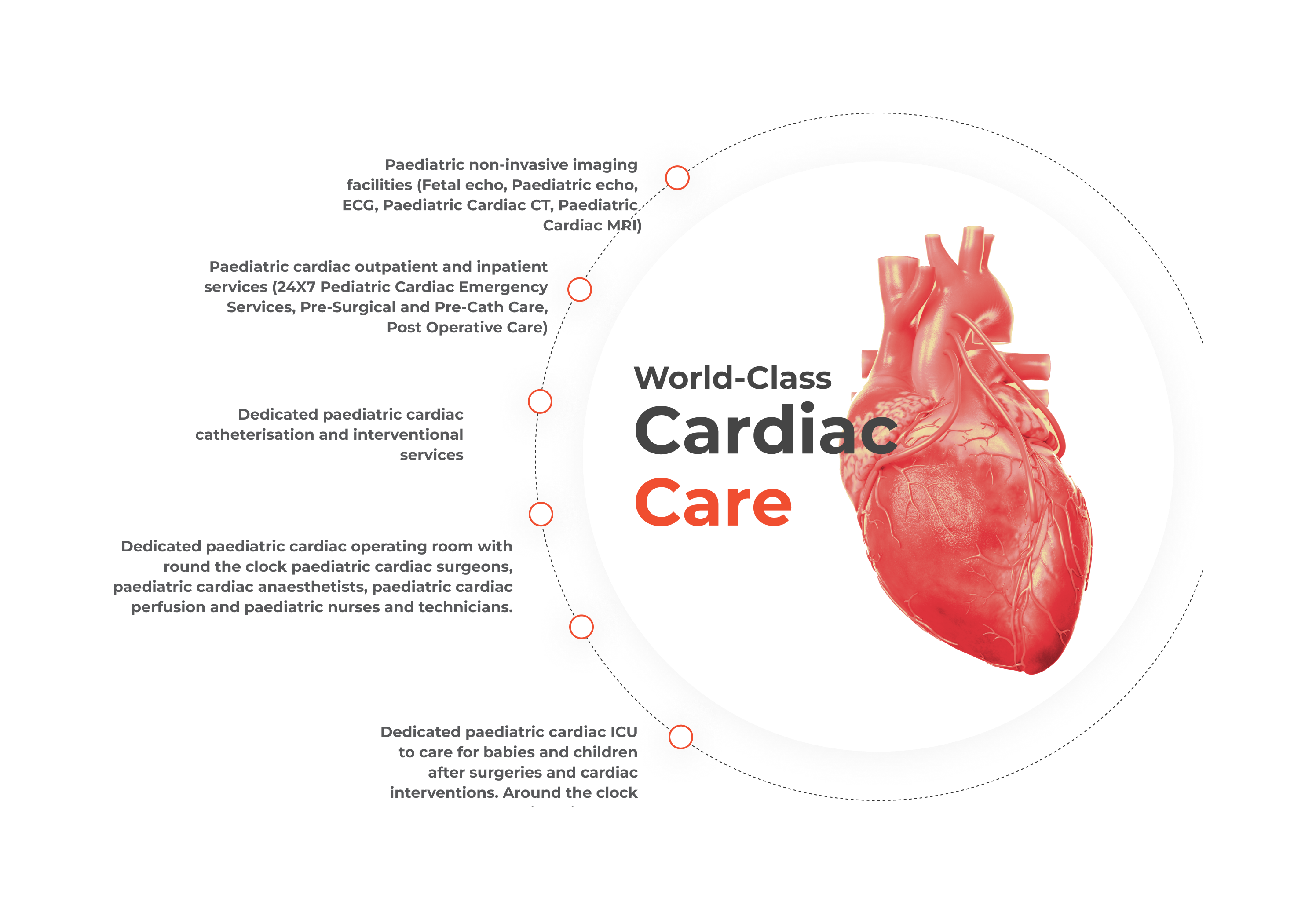 Paediatric Cardiology