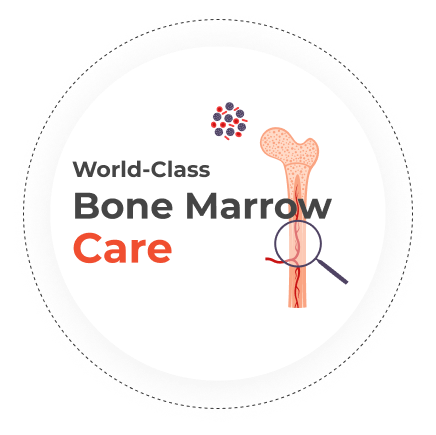 bone marrow Transplant